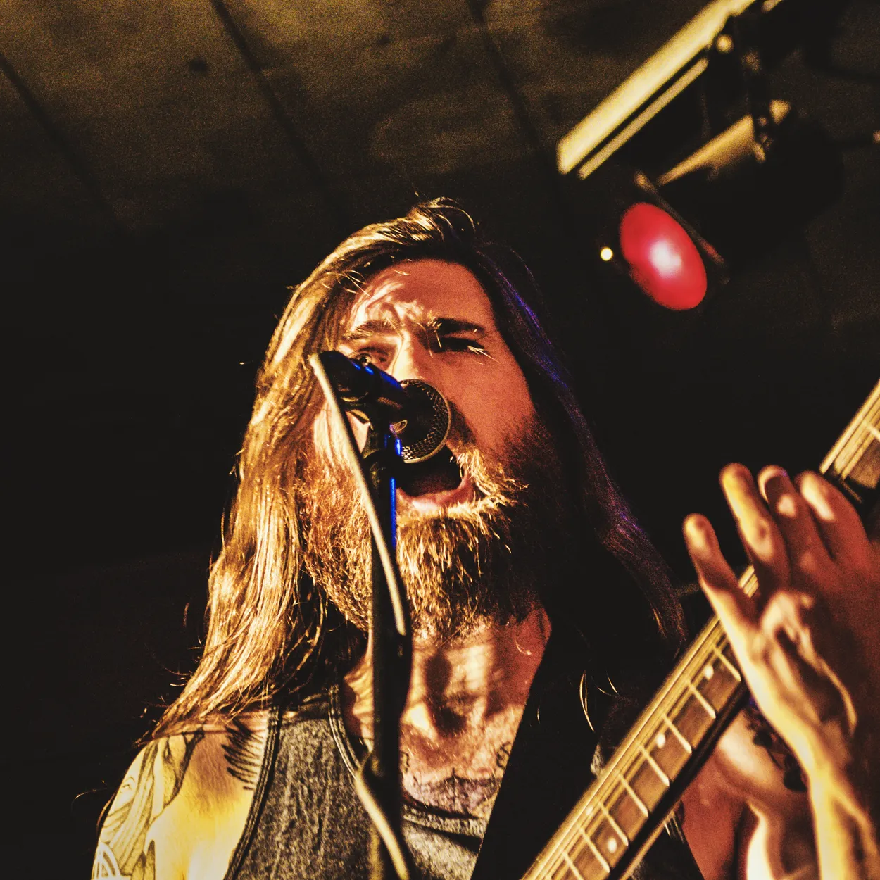Telekinetic Yeti performing live at Ace of Cups, Columbus in 2017 — concert photography by James Anthony Brooks