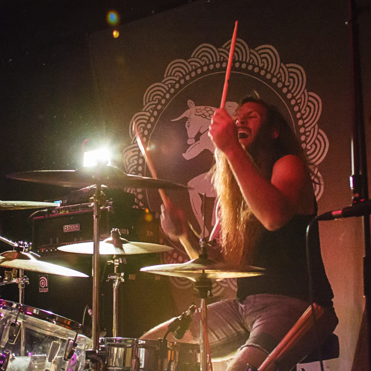 Telekinetic Yeti performing live at Ace of Cups, Columbus in 2017 — concert photography by James Anthony Brooks